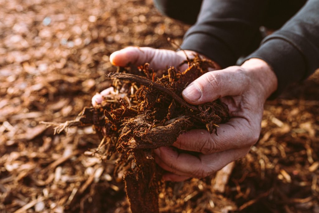 mulch mound 